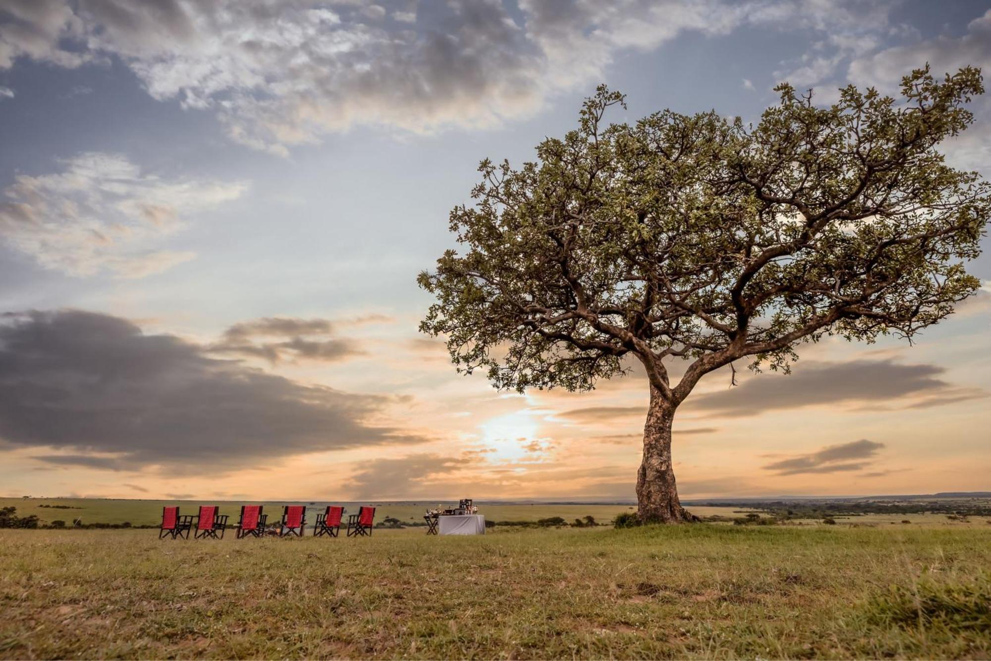 Jw Marriott Masai Mara Lodge マサイマラ国立保護区 エクステリア 写真
