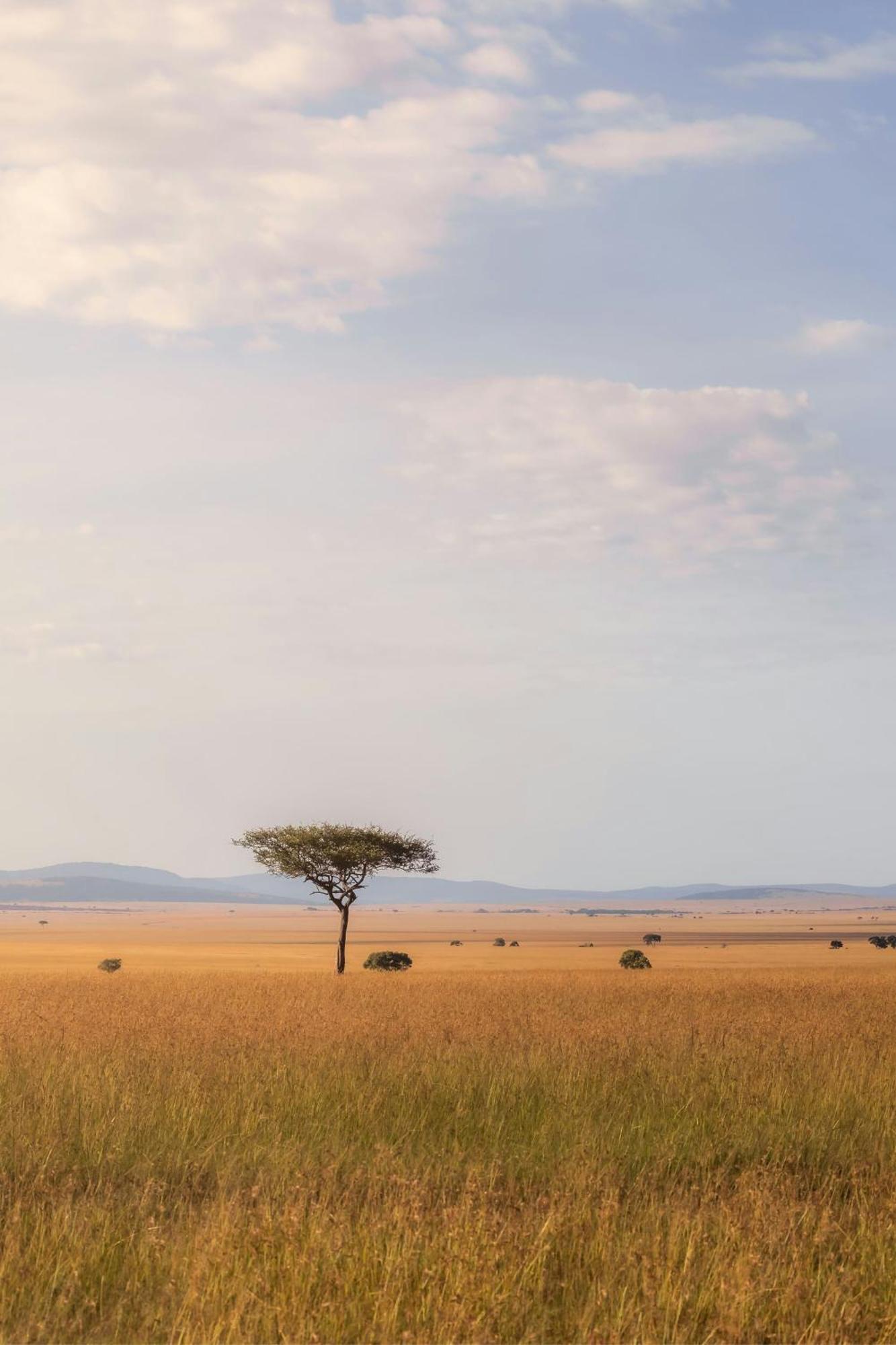Jw Marriott Masai Mara Lodge マサイマラ国立保護区 エクステリア 写真